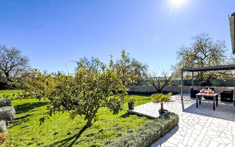 Ivan: Shrub, Garden, Groundcover, Landscaping, Shade, Lawn, Yard, Backyard, Walkway, Park