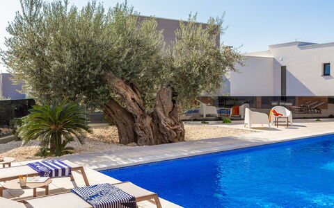 Old Olive V: Water, Plant, Sky, Furniture, Blue, Azure, Swimming Pool, Shade, Building, Outdoor Furniture