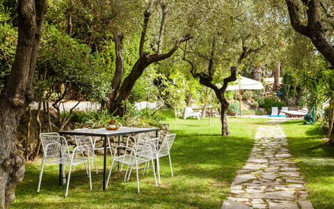 Villa Il Sole Di Sorrento: Plant, Furniture, Table, Tree, Branch, Natural Landscape, Shade, Chair, Grass, Outdoor Furniture