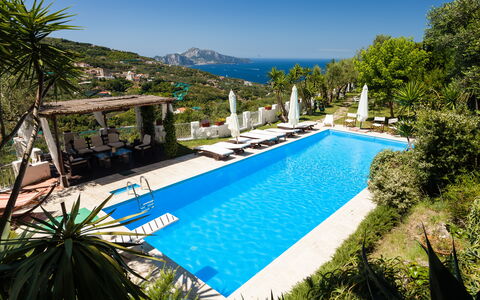 Villa Il Sole Di Sorrento: Water, Plant, Sky, Property, Swimming Pool, Azure, Tree, Botany, Vegetation, Arecales