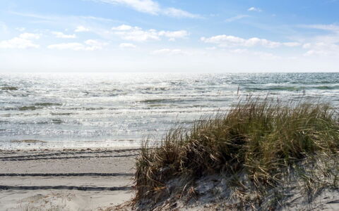 Baarde - 60M from the Sea: Roof, Home, Door, Cottage, Shade, Siding, Yard, Estate, Backyard