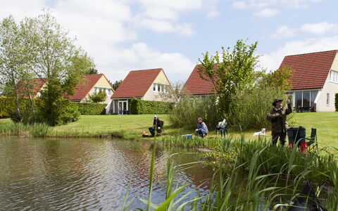 Ruiten Aa Comfort: Water, Cloud, Plant, Sky, Natural Landscape, Tree, Building, Lake, House