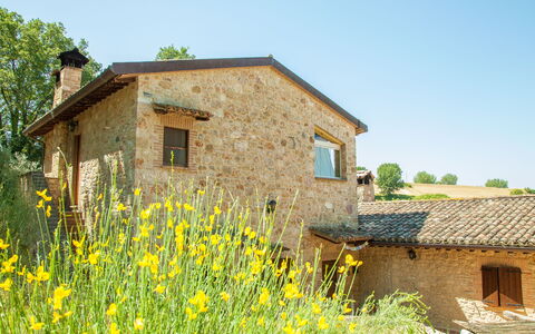 Tra Cielo e Terra: Plant, Sky, Building, Window, Tree, Land Lot, House, Larch, Grass, Residential Area