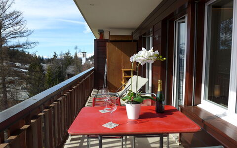 Crans-Montana 666: Building, Table, Property, Window, Plant, Furniture, Flowerpot, Flower, Houseplant, Wood