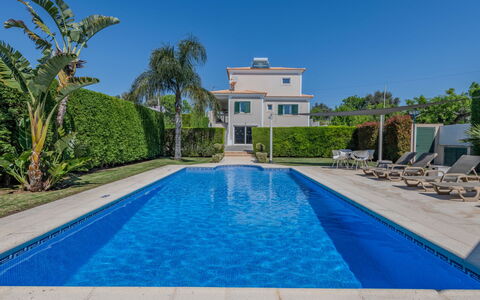 Carmen: Blue, Swimming Pool, Leisure, Composite Material, Resort, Shade, Water Feature, Eco Hotel, Landscaping, Estate