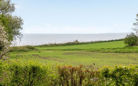 Venla - 150M from the Sea: Blue, Green, Grass, Natural Landscape, Vegetation, Grassland, Horizon, Summer, Ecoregion, Sea