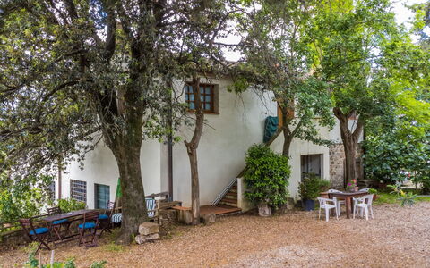 Accommodation:&nbsp;Antico Frantoio 620.2
