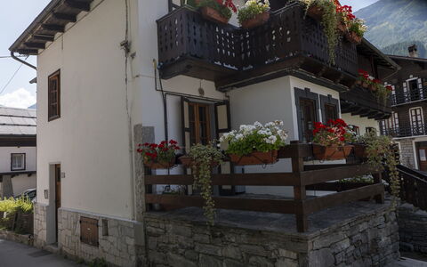 Appartamento Piazza Centrale: Plant, Building, Property, Window, Flowerpot, Door, House, Houseplant, Wood, Road Surface