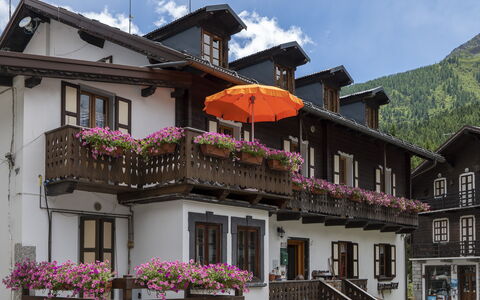 Appartamento Piazza Centrale: Flower, Plant, Building, Sky, Property, Window, Cloud, House, Architecture, Neighbourhood