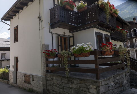 Appartamento Piazza Centrale: Plant, Building, Property, Window, Flowerpot, Door, House, Houseplant, Wood, Road Surface