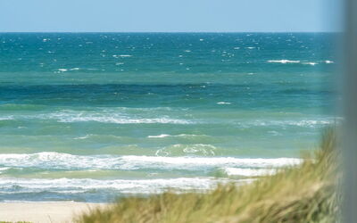 Fatlinda - 50M from the Sea