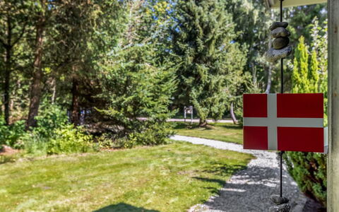 Sofja - 175M to the Fjord: Pole, Garden, Landscaping, Evergreen, Flag, Larch, Park, Pine Family
