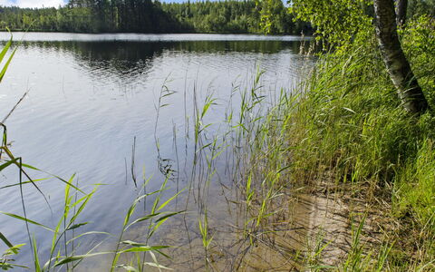Käränkkä: Bed, Furniture, Bedroom, Interior Design, Bedding, Bed Sheet, Flooring, Wood, Floor, Room