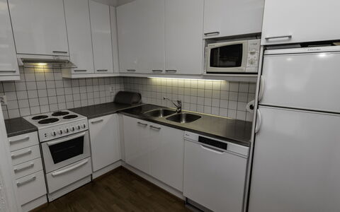 Kesä-Iikka 4: Kitchen Appliance, Kitchen, Major Appliance, Countertop, Kitchen Stove, Flooring, Kitchen Sink, Cabinetry, Home Appliance, Interior Design