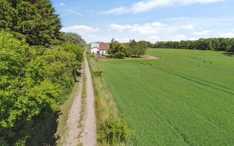 Antonina - 1.5Km from the Sea: Green, Grass, Tree, Grassland, Natural Landscape, Field, Summer, Plain, Landscape