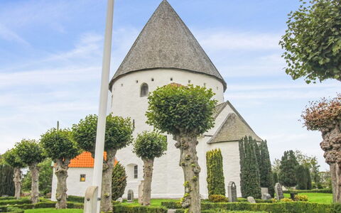 Antonina - 1.5Km from the Sea: Grass, Shrub, Spring, Hedge, Garden, Spire, Landscaping