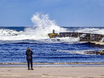 Harbour Nights Deluxe 7A