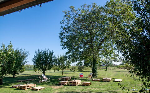 Oasi Casamaras, Brenta River, Wifi, Ac: Plant, Sky, Leaf, Nature, Shade, Natural Landscape, Tree, Botany, Vegetation, Land Lot
