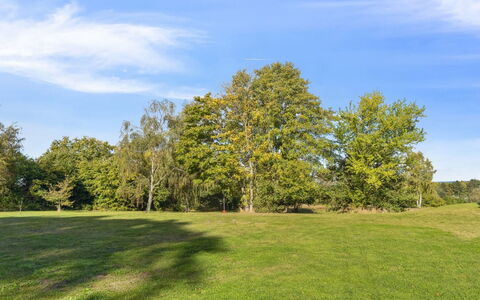 Marrit - 500M from the Sea: Sky, Blue, Daytime, Leaf, Green, Grass, Tree, Branch, Natural Environment, Nature