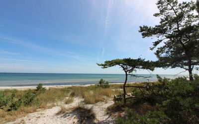 Betti - 700M from the Sea
