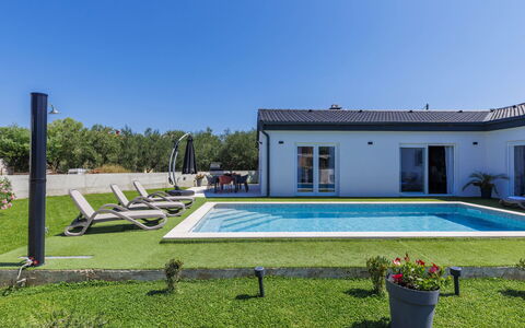 Corona Cordis: Plant, Sky, Window, Building, Swimming Pool, Shade, Tree, Grass, Leisure, Rectangle