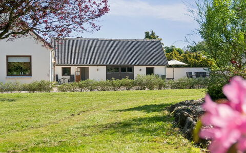 Teodora - 3Km from the Sea: Grass, Grassland, Landscape, Ecoregion, Plain, Plant Community, Land Lot, Outdoor Furniture, Prairie, Shrubland