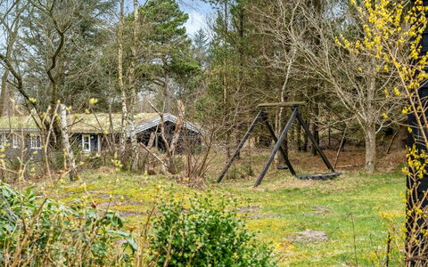 Sighfrith - 2Km from the Sea: Leaf, Branch, Wood, Shrub, Land Lot, Rural Area, Garden, Twig, Groundcover, Trunk