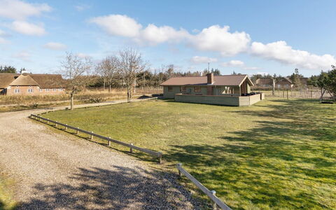 Frille - 200M from the Sea: Grass, Grassland, Landscape, Ecoregion, Plain, Plant Community, Land Lot, Outdoor Furniture, Prairie, Shrubland