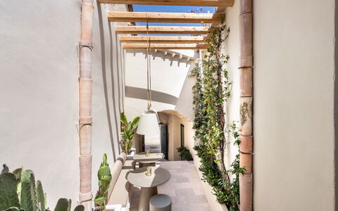 Alma Suite: Plant, Property, Building, Architecture, Interior Design, Wood, Houseplant, Table, Terrestrial Plant, Real Estate