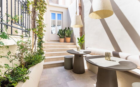 Alma Suite: Plant, Property, Table, Wood, Window, Flooring, Floor, Building, Wall, Real Estate