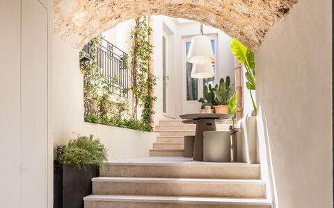 Alma Suite: Plant, Building, Interior Design, Houseplant, Window, Wall, Wood, Stairs, Facade, Flooring