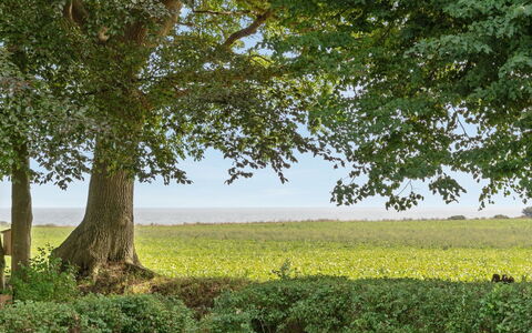 Francis - 300M from the Sea: Wood, Roof, Architecture, Home, House, Cottage, Siding, Hardwood, Slope, Estate
