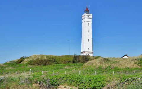 Joachim - 200M from the Sea: Roof, House, Home, Cottage, Door, Siding, Deck, Porch, Plank, Hardwood