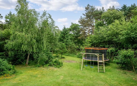 Atla - 2.5Km from the Sea: Grass, Shrub, Garden, Land Lot, Lawn, Meadow, Pasture, Woodland, Shade