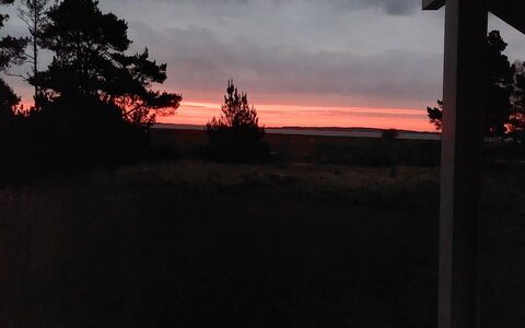 Eltje - 4Km from the Sea: Sky, Photograph, Nature, Branch, Afterglow, Dusk, Horizon, Sunset, Cloud, Evening