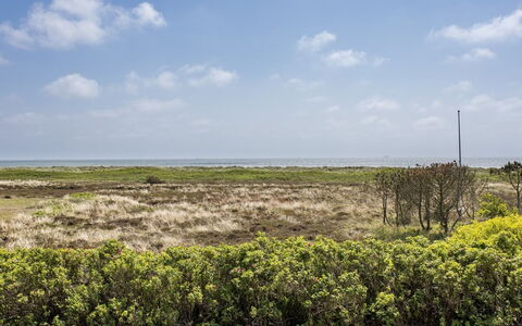 Stillan - 150M from the Sea: House, Home, Roof, Residential Area, Cottage, Estate, Farmhouse, Lawn, Landscaping, Siding