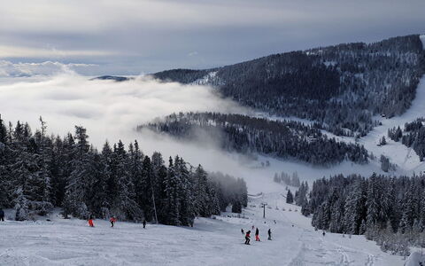 Stieglitz: Sky, Cloud, Mountain, Snow, Slope, Tree, Atmospheric Phenomenon, Terrain, Freezing, Glacial Landform