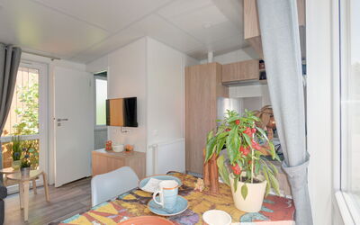 Accommodation:&nbsp;Tiny Haus Hirschberg 200.17