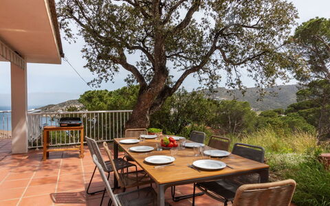 Rec de Canet: Table, Plant, Sky, Furniture, Property, Chair, Flowerpot, Outdoor Furniture, Wood, Building