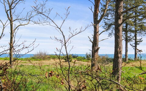 Carit - 80M from the Sea: Estate, Shade, Driveway, Farmhouse