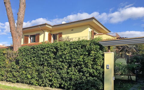 Sara: Cloud, Sky, Plant, Building, Property, Window, Land Lot, Grass, Shade, House