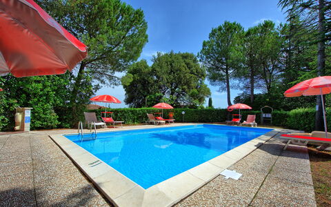 Leccino: Water, Plant, Building, Swimming Pool, Shade, Tree, Outdoor Furniture, Sky, Umbrella, House