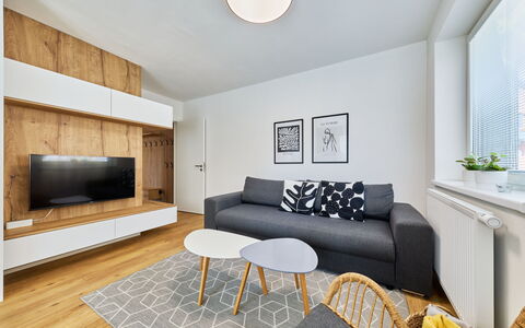 Chic Mountain Terrace Lounge: Furniture, Interior Design, Flooring, Floor, Wall, Couch, Wood, Ceiling, Room, Living Room