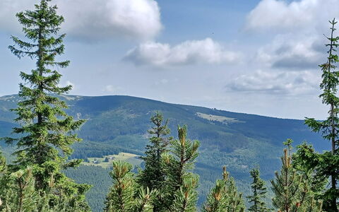 Chic Mountain Terrace Lounge: Mountainous Landforms, Tree, Natural Environment, Mountain, Wilderness, Highland, Hill, Cloud, Forest
