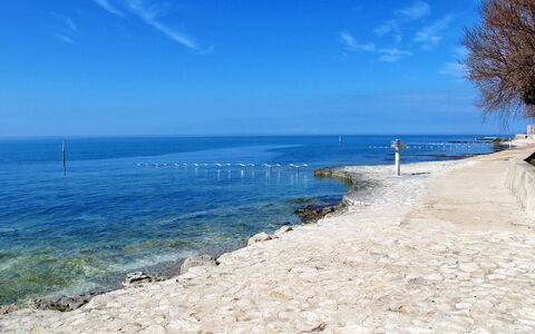 Claudia: Blue, Body Of Water, Water, Coast, Coastal And Oceanic Landforms, Sea, Beach, Shore, Ocean