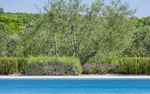 Claudia: Water, Plant, Plant Community, Sky, Natural Landscape, Land Lot, Flower, Landscape, Groundcover, Shrub