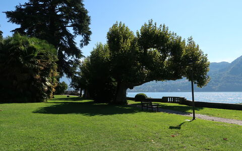 Regina 29: Grass, Natural Landscape, Landscape, Lawn, Outdoor Bench, Trunk, Garden, Lake, Park