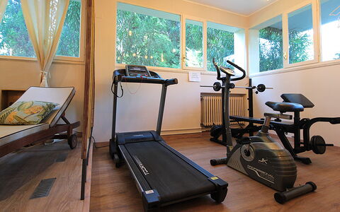 Provenzale Apartment, Garda Lake, Jacuzzi, Fitness: Property, Exercise Machine, Window, Wood, Interior Design, Floor, Flooring, Hardwood, Exercise Equipment