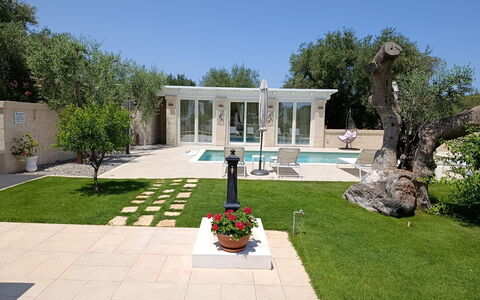 Terra Mater: Residential Area, Garden, Estate, Landscaping, Courtyard, Concrete, Hacienda, Lawn, Yard, Shade