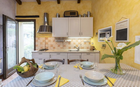 La Vecchia Stalla: Property, Tableware, Dishware, Cabinetry, Plant, Window, Interior Design, Kitchen, Table, Kitchen Appliance